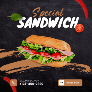 Veg Cheese Sandwich